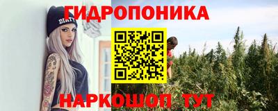 гашик Бийск