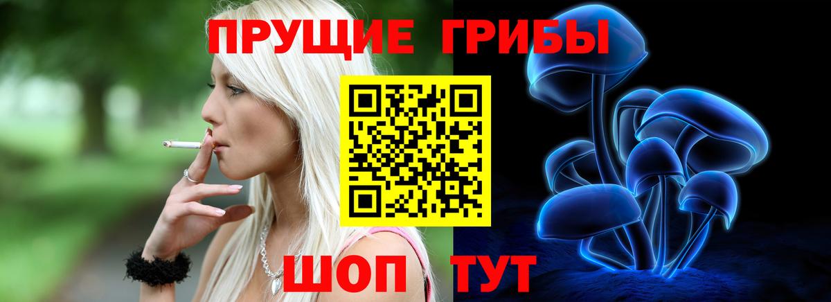 Избербаш  Псилоцибиновые грибы GOLDEN TEACHER  Вход с VPN 